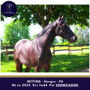 Magnifique 3 ans, épais très chic déjà 1m64