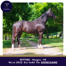 Magnifique 3 ans, épais très chic déjà 1m64