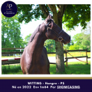 Magnifique 3 ans, épais très chic déjà 1m64