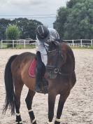 Cheval de 8 ans a vendre 