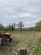 Pension chevaux repos/retraite/ poulinière 