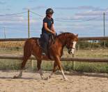 Julisca du Touney PFS 6 ans