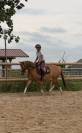 Julisca du Touney PFS 6 ans