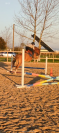 Julisca du Touney PFS 6 ans