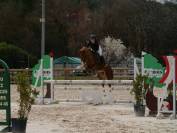 Chic Poney francais de selle - 9 ans - Dressage