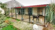 Equestrian property  Loir-et-Cher