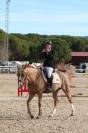JAGERBOMB LA WOUIVRE PFS PONEY D AVENIR ENTIER 