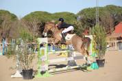 JAGERBOMB LA WOUIVRE PFS PONEY D AVENIR ENTIER 