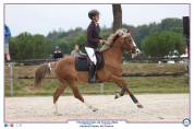 JAGERBOMB LA WOUIVRE PFS PONEY D AVENIR ENTIER 