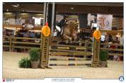 JAGERBOMB LA WOUIVRE PFS PONEY D AVENIR ENTIER 
