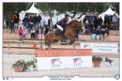 JAGERBOMB LA WOUIVRE PFS PONEY D AVENIR ENTIER 