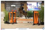 JAGERBOMB LA WOUIVRE PFS PONEY D AVENIR ENTIER 