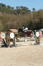 JAGERBOMB LA WOUIVRE PFS PONEY D AVENIR ENTIER 