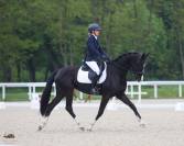 Jument de dressage 