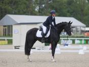 Jument de dressage 
