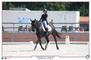 Poney D à vendre/ louer 