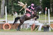 Poney D à vendre/ louer 