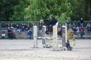 Poney D à vendre/ louer 