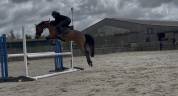 Poney de sport - 5 ans 