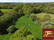 Maison Nort Sur Erdre 10 pièce(s) 266 m2 1,7 hectares