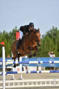 HONGRE DE 13 ans pour Amateur Élite.