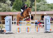 HONGRE DE 13 ans pour Amateur Élite.
