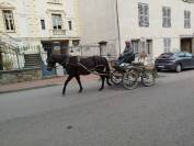 Era des Sables, jument ONC pleine