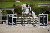 Chic hongre de 12 ans CSO