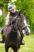 Femelle irish cob 