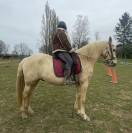 Cheval ONC
