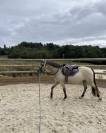 Ponette OC 5 ans