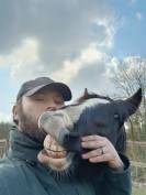 Palefrenier soigneur Auto-entrepreneur