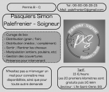 Palefrenier soigneur Auto-entrepreneur