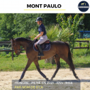 Caballo castrado Pura Sangre En venta 2021 Bayo por Nom de d'la