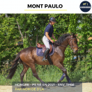 Caballo castrado Pura Sangre En venta 2021 Bayo por Nom de d'la