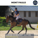 Caballo castrado Pura Sangre En venta 2021 Bayo por Nom de d'la