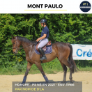 Caballo castrado Pura Sangre En venta 2021 Bayo por Nom de d'la