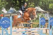 À VENDRE – Superbe Selle Français par Romanov