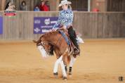 Quarter horse à vendre 