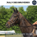 JULLY DES BRUYERES - AQPS - 6 ANS 