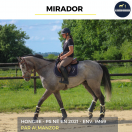 Caballo castrado Pura Sangre En venta 2021 Tordo por Almanzor