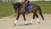 Ponette 14 ans 