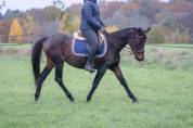 Ponette 14 ans 