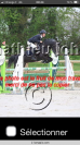 5 ans femelle pfs top concours pour location 