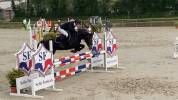 5 ans femelle pfs top concours pour location 