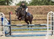 5 ans femelle pfs top concours pour location 