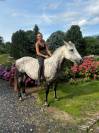 Cheval à vendre Taille 1,47. ONC