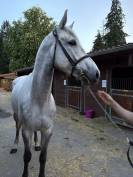 4 ans par fahrenheit de vains ( cornet obolensky) 