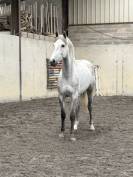 4 ans par fahrenheit de vains ( cornet obolensky) 