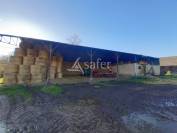 Exploitation sur 64 ha (SAU 48 ha)